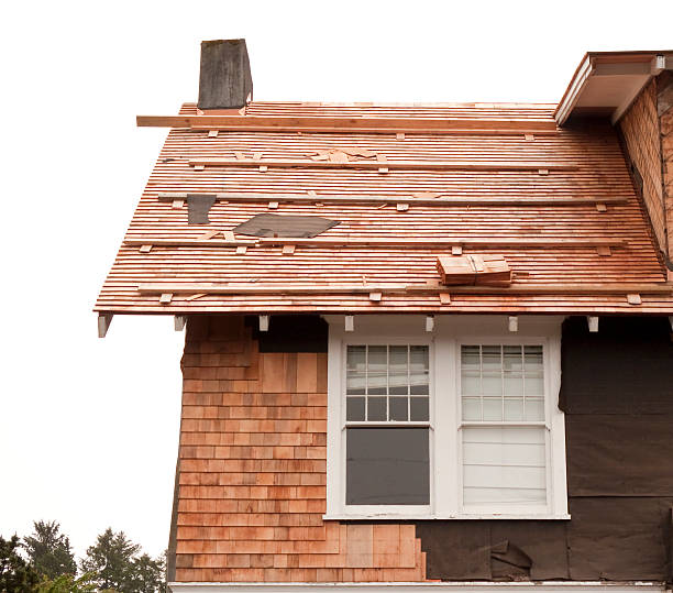 Affordable Siding Repair and Maintenance Services in Orange City, FL